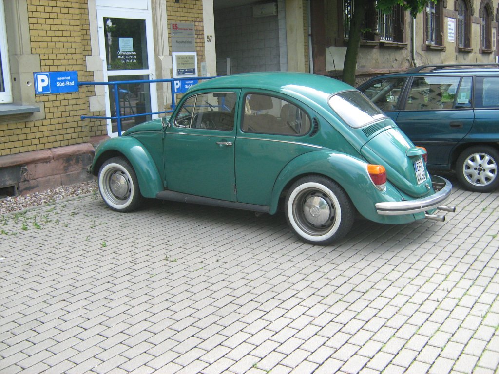 VW-Kfer in Grn - EF 2010