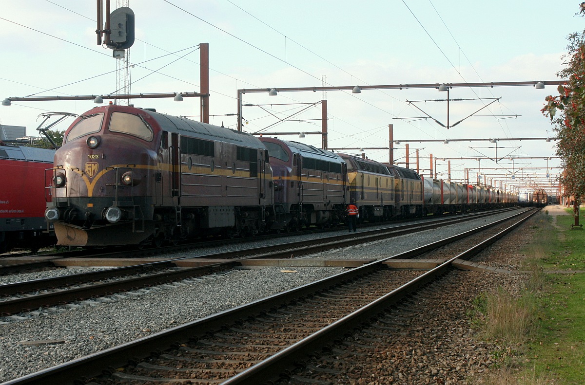 Vier mal NOHAB, 4 mal 1433kW und ein schwerer Zement-Express sind gerade im d�nischen Padborg angekommen. CFLCADK Litra Mx 1023 und Litra My 1146 sowie die beiden  Booster  CFLCA 1814 und 1807 festgehalten am 30.09.2015 in Pattburg/Padborg.