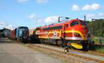 AMR MY 1131 neben der ex DSB MH 440, aufgenommen bei VIKINGRail in Pattburg 02.09.2025
